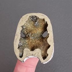 rare high quality ammonite fragment with pyrite designer cabochon 39 x 32 x 8 mm , cabochon for jewelry, russian stone,