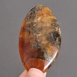 rare high quality simbircite-ammonite with silver pyrite natural stone cabochon 56 x 33 x 6 mm , cabochon for jewelry
