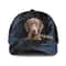 Chesapeake Bay Jean Background Custom Name & Photo Dog Cap - Classic Baseball Cap All Over Print - Gift For Dog Lovers 1.jpg