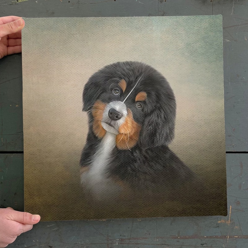 Dog Square Canvas - Drawing Puppy Bernese Mountain - Dog Canvas Print - Dog Wall Art Canvas - Furlidays.jpg