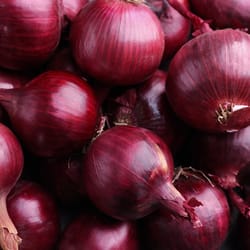 onion seeds, 500 seeds red onion rainbow, ukrainian organic seeds, sw244