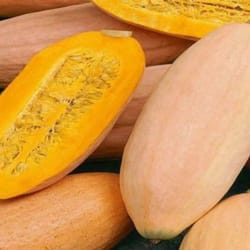pumpkin seeds,, 150 pumpkin seeds pink banana, ukrainian organic seeds sw50