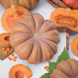 pumpkin seeds,, 100 pumpkin muscat de provence, ukrainian organic seeds sw94