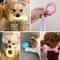 Durable Dog Chew Toys For Small Breeds TPR Knot Teething Puppy Toys For Teeth Cleaning Boredom Rel 3