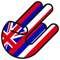 Hawaiian Shocker Sticker Self Adhesive Vinyl hawaii HI - C2490.png