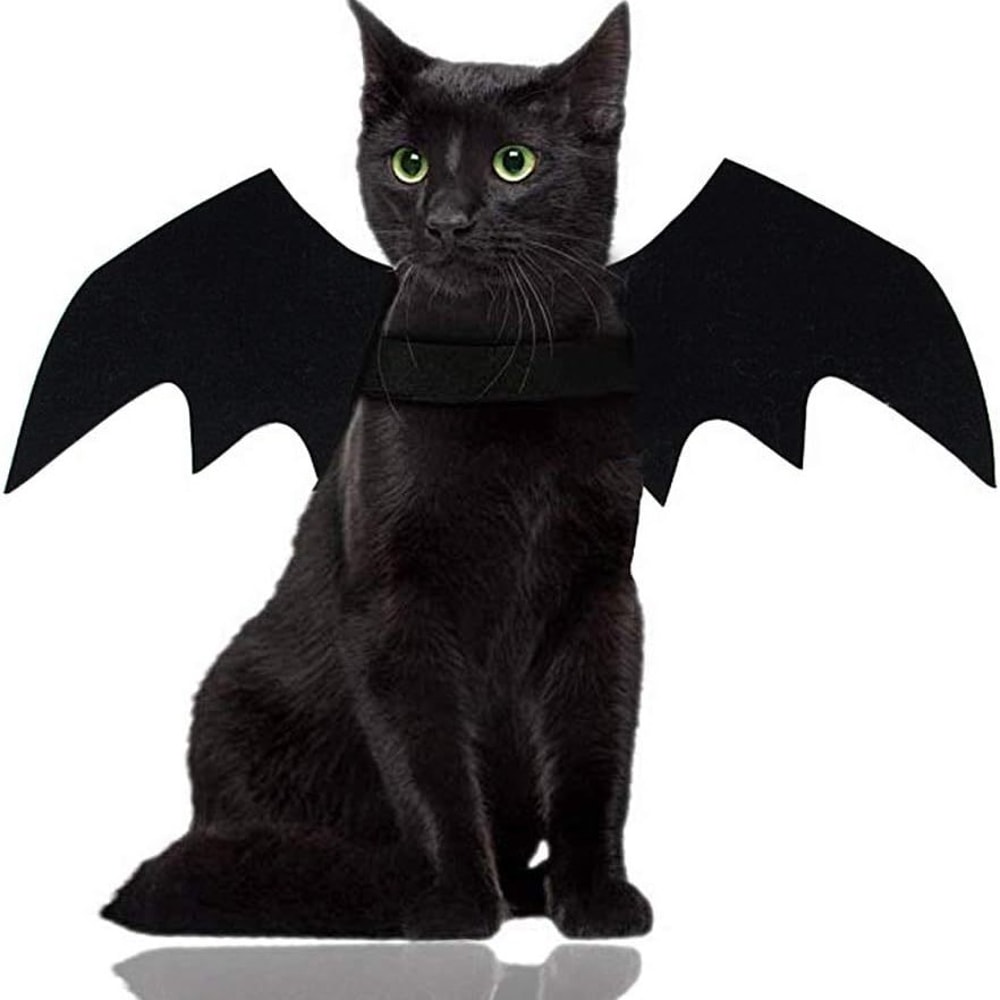 Wholesale Cute Cat Cosplay Costume Black Bat Wings Safety Belt Role Playing Pet Cat Dog Halloween Party Decoration Supplies