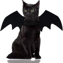 wholesale cute cat cosplay costume black bat wings safety belt role playing pet cat dog halloween party decoration supplies