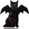 Wholesale Cute Cat Cosplay Costume Black Bat Wings Safety Belt Role Playing Pet Cat Dog Halloween Party Decoration Supplies