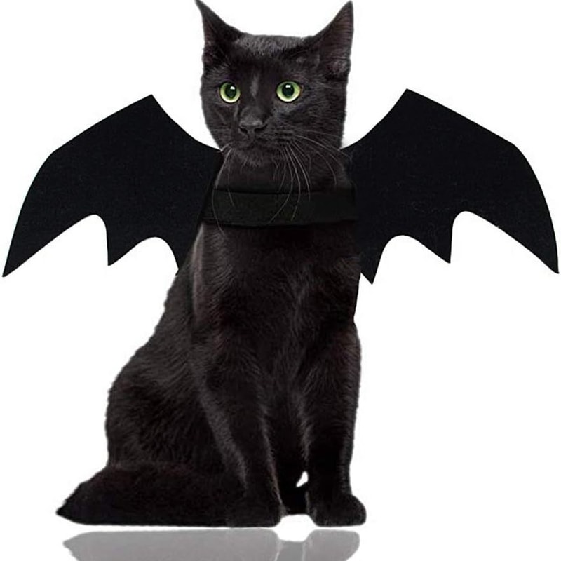 Wholesale Cute Cat Cosplay Costume Black Bat Wings Safety Belt Role Playing Pet Cat Dog Halloween Party Decoration Supplies