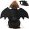 Wholesale Cute Cat Cosplay Costume Black Bat Wings Safety Belt Role Playing Pet Cat Dog Halloween Party Decoration Supplies