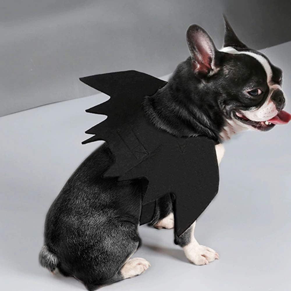 Wholesale Cute Cat Cosplay Costume Black Bat Wings Safety Belt Role Playing Pet Cat Dog Halloween Party Decoration Supplies