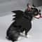 Wholesale Cute Cat Cosplay Costume Black Bat Wings Safety Belt Role Playing Pet Cat Dog Halloween Party Decoration Supplies