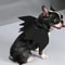 Wholesale Cute Cat Cosplay Costume Black Bat Wings Safety Belt Role Playing Pet Cat Dog Halloween Party Decoration Supplies