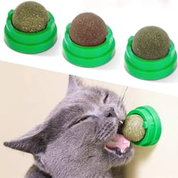 cat grass snack, removes balls to promote digestion, healthy natural toy for cats