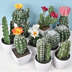 artificial plastic cactus, realistic cute succulent plant, home decor fake flower