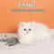 Electric Cat Toy Mouse Automatic Crawling Robot With Vibration For Playful Pet Interaction 0