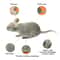 Electric Cat Toy Mouse Automatic Crawling Robot With Vibration For Playful Pet Interaction 2