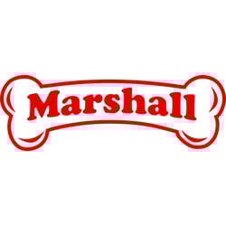 marshall bone svg, paw patrol svg, paw patrol logo svg, paw patrol svg file, paw patrol svg everest, digital download