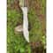 Carbon Steel Fully Forged Sword Full Tang Tactical Machete Sword Viking Survival (3).jpg