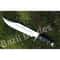 Custom Handmade Bowie Knife Full Tang D2 Tool Steel Mirror Polished Camping Knif.jpg