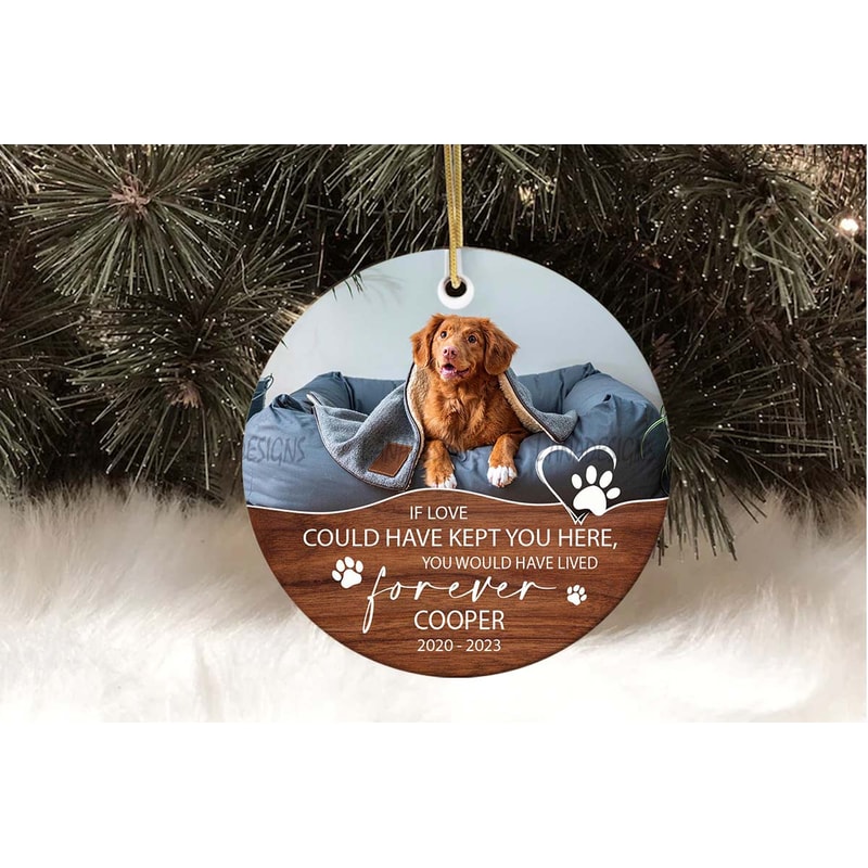Pet Memory Christmas Ornament PNG Loss Of Dog PNG Dog Memorial Photo Ornament Png Pet Loss Ornament 1