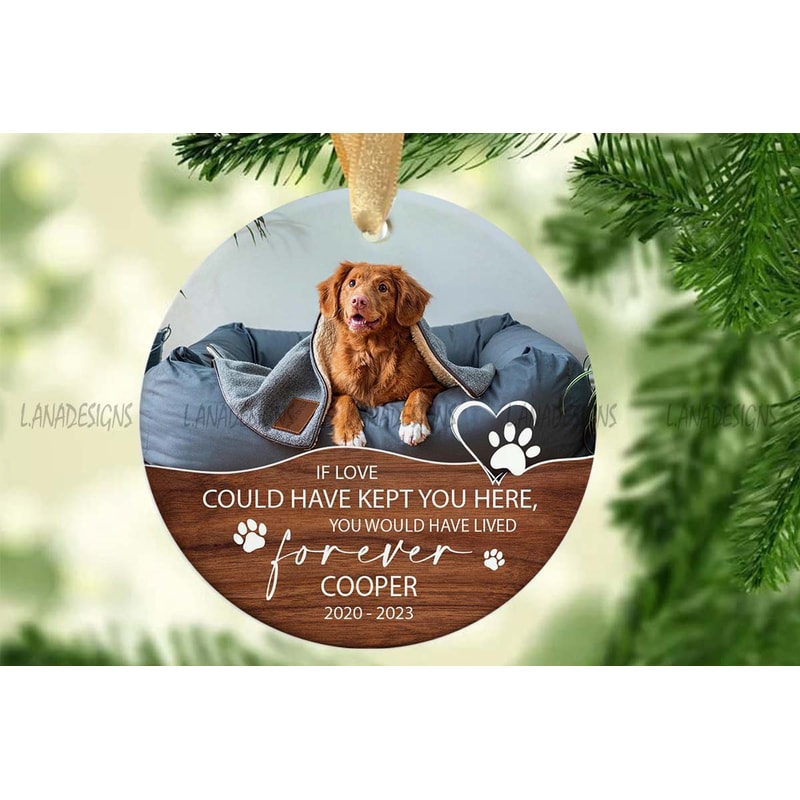 Pet Memory Christmas Ornament PNG Loss Of Dog PNG Dog Memorial Photo Ornament Png Pet Loss Ornament 0