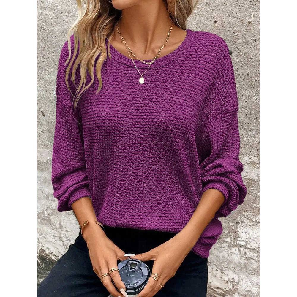 Womens Plus Size AutumnWinter Round Neck Long Sleeve Pullover Cozy Solid Color Top 6