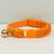 AnyWags Cat Collar Orange Large With Safety Buckle Bell 1