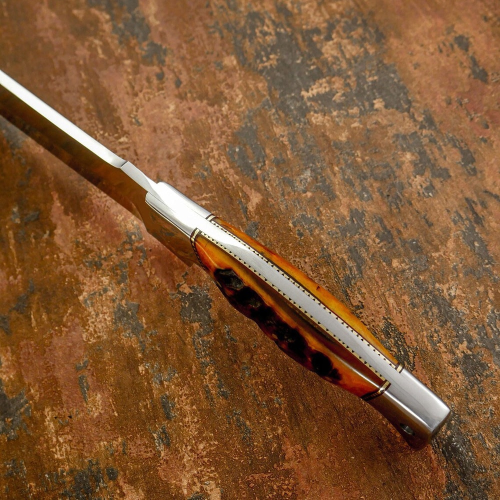 Custom Handmade Beautiful D2 Steel Hunting Kitchen Knife gift For Himher 3