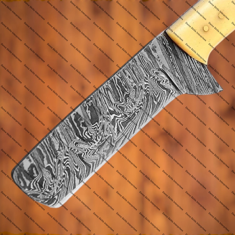 WhatsApp Image 2024-03-14 at 12.19.58 PM.jpeg