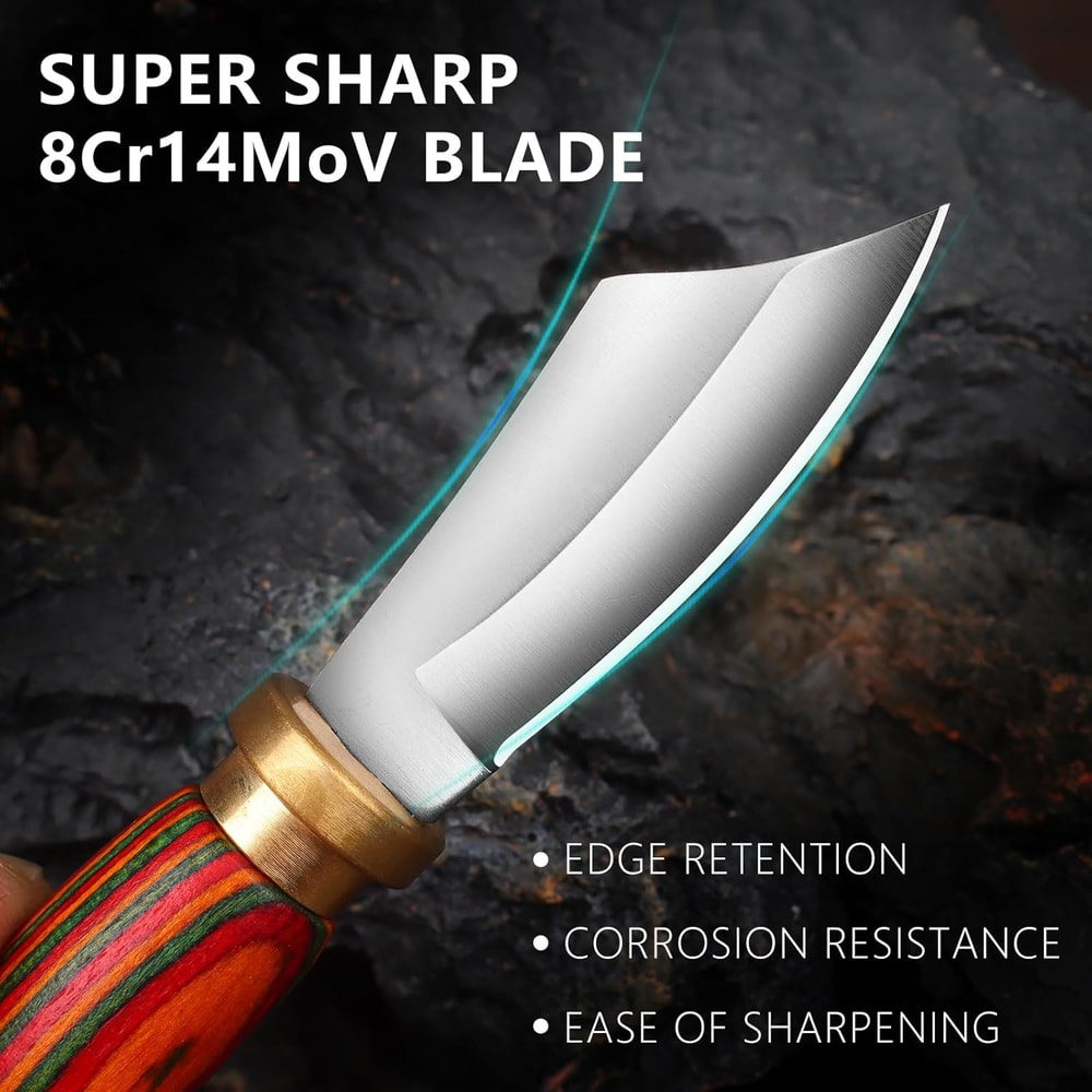 Mini Keychain Knife 335 Inch Stainless Steel Fixed Blade Knife With Leather Sheath Wood Handle EDC 3