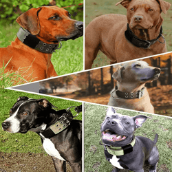 wide tactical heavy duty nylon large dog collar military style with metal buckle for big dogs neoprene padded adjustable