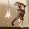 Interactive Cat ToyFeather Wand With Bell Long Suction Cup PoleStimulating Teaser Toy For Playful 5