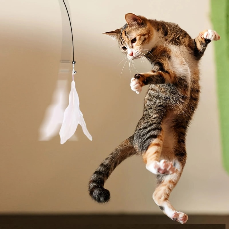 Interactive Cat ToyFeather Wand With Bell Long Suction Cup PoleStimulating Teaser Toy For Playful 5