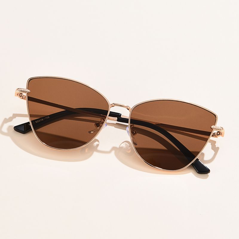 Triangle Metal Frame Sunglasses For Women Trendy Cat Eye Small Fashion Sun Glasses UV400 Streetwear 9
