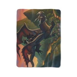 harry potter the dragon on blanket