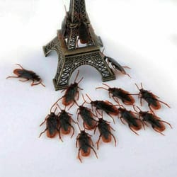 realistic rubber cockroaches creepy gag toy set for pranks & halloween fun