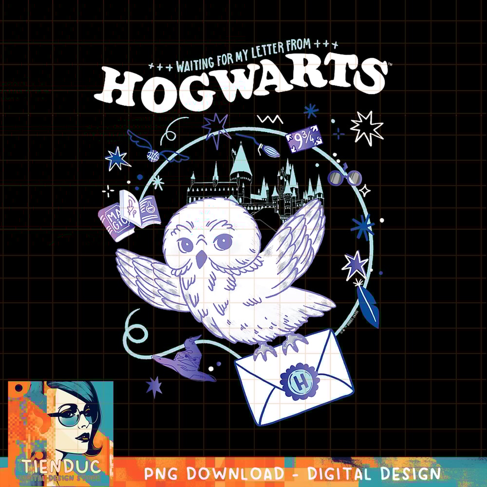 Harry Potter Deathly Hallows 2 Hogwarts Owl Messenger PNG Download.jpg