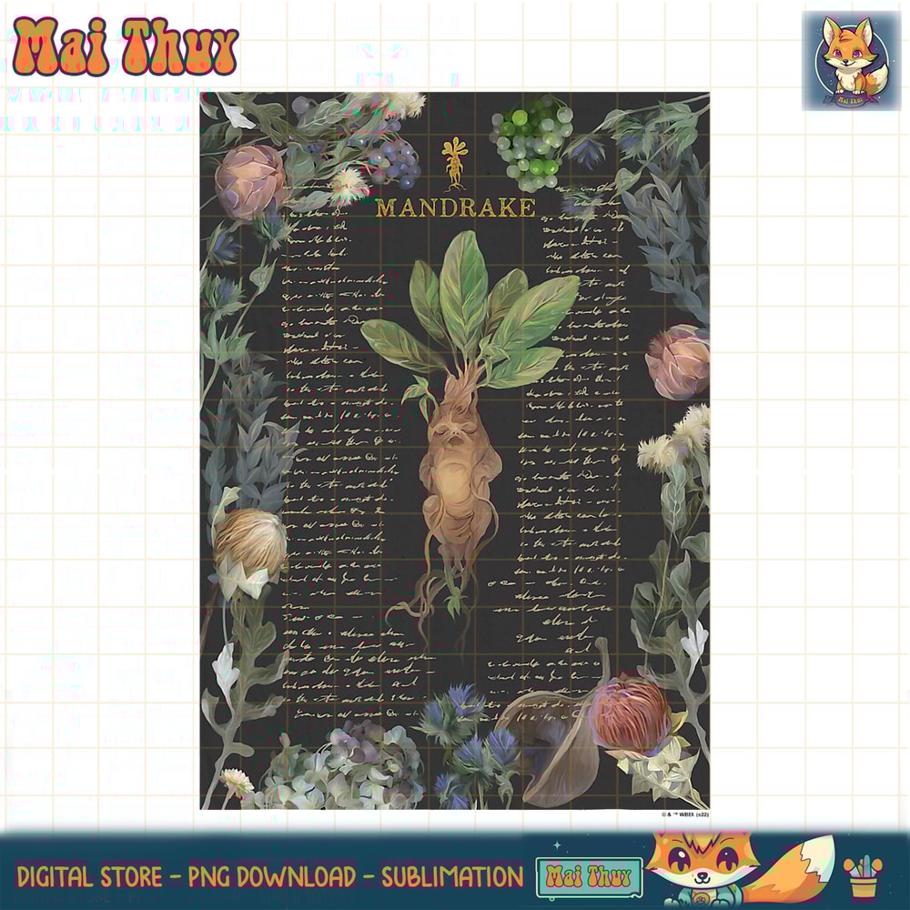 Harry Potter Deathly Hallows 2 Mandrake Floral Description PNG Download.jpg