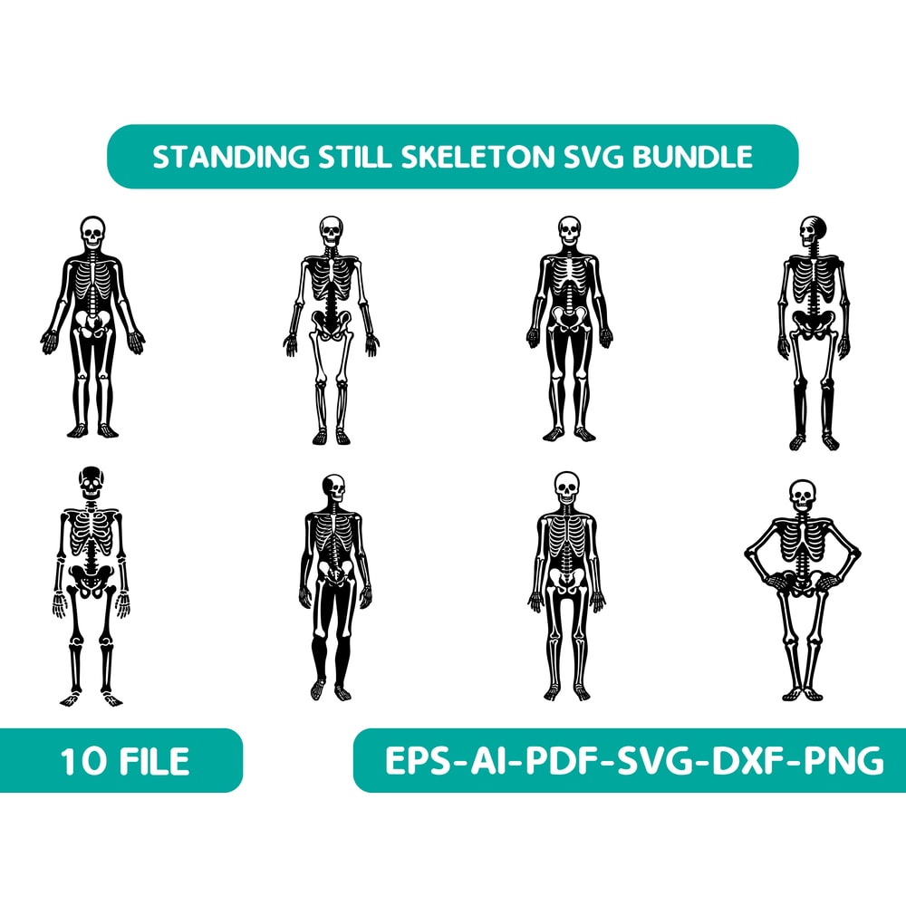 Standing Still Skeleton Svg Bundle 0