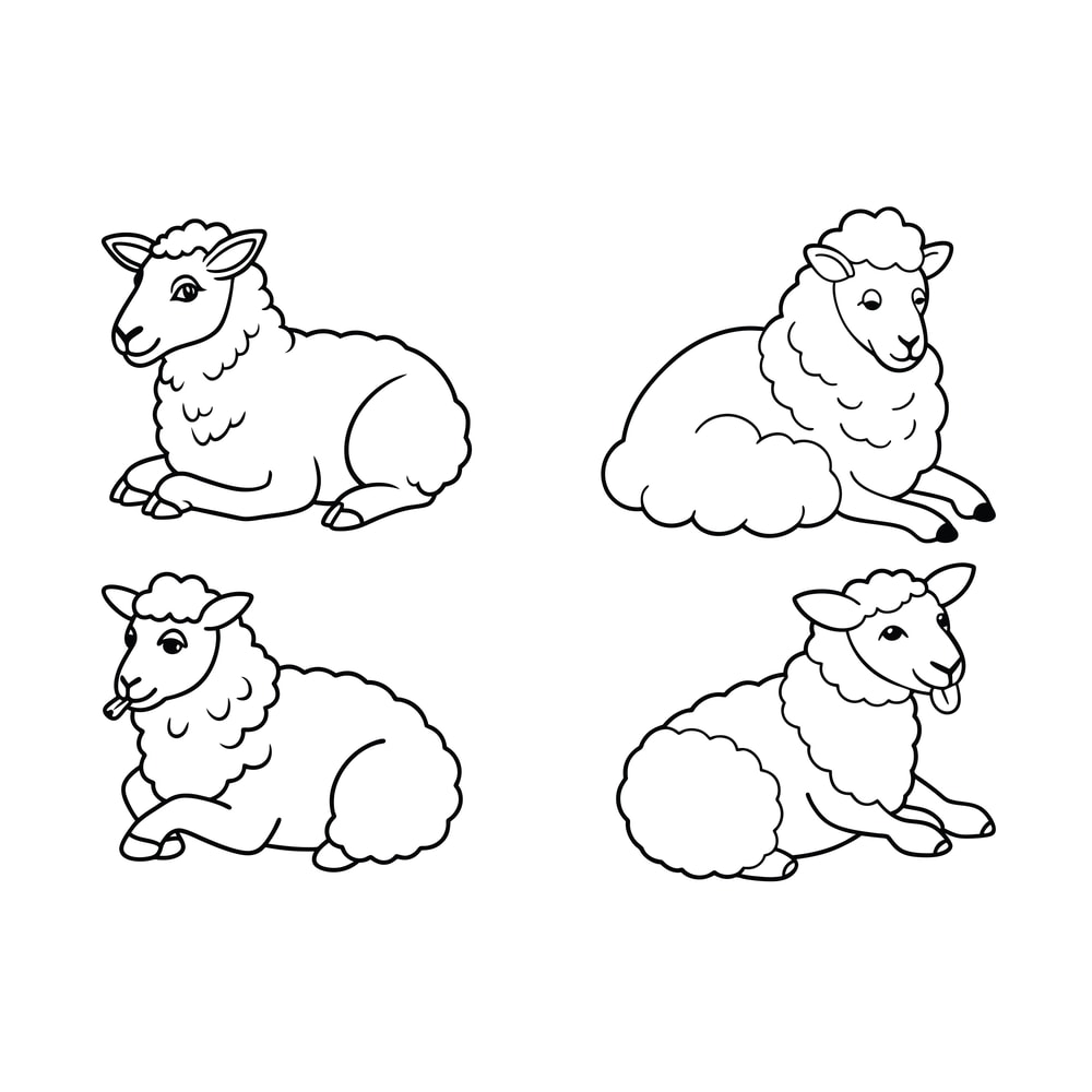 Sheep Chewing Cud Line Art Bundle 2