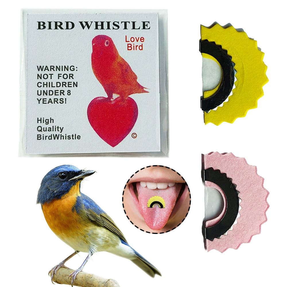 Bird Wacky Whistle Magic Fun The Ultimate Tweeting Noisemaker Toy For Pranks Gags And Learning Bird 2