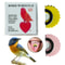 Bird Wacky Whistle Magic Fun The Ultimate Tweeting Noisemaker Toy For Pranks Gags And Learning Bird 2