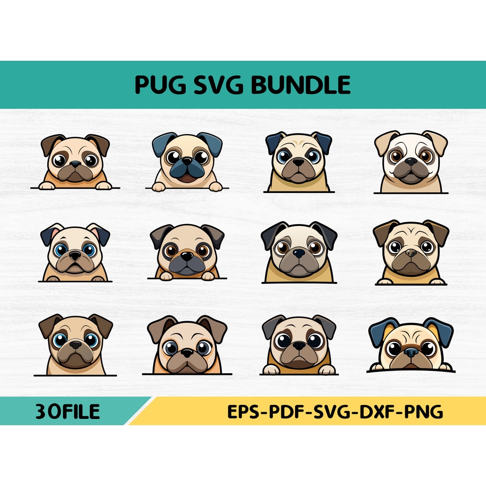 Pug 1 0