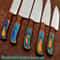 Handcrafted D2 Steel Chef Knife Set With Leather Roll Bag Professional Quality 3