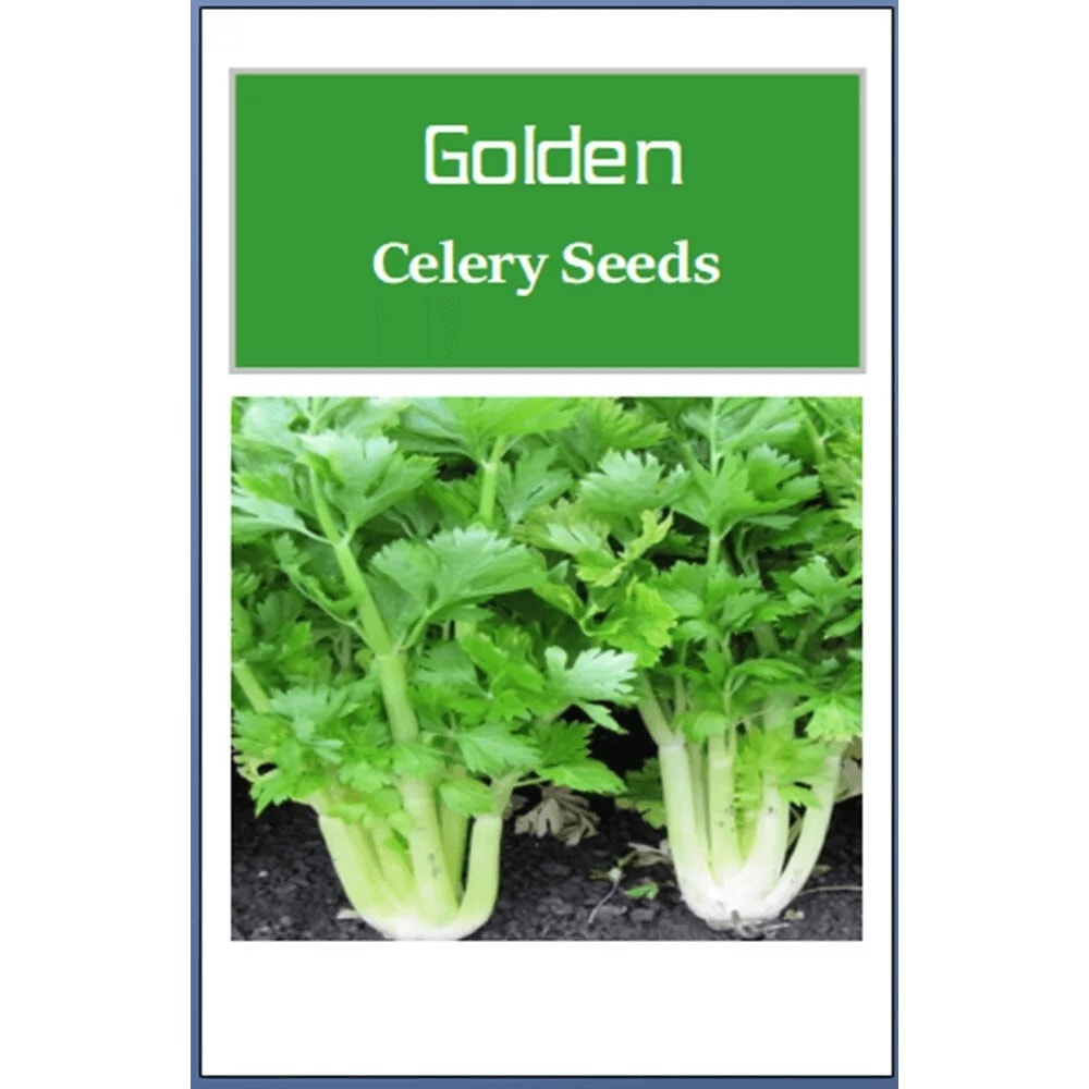 NonGMO Golden Celery Seeds Heirloom Fresh Garden Seeds For Your Vegetable Garden 0