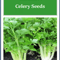 NonGMO Golden Celery Seeds Heirloom Fresh Garden Seeds For Your Vegetable Garden 0