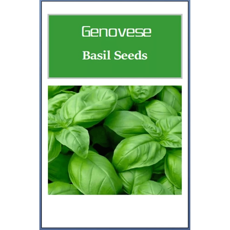 Genovese Basil Seeds NonGMO Heirloom Seeds For Culinary Gardens 0