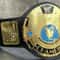 wwe wrestling belt replica