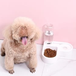 cat and dog double bowl with automatic water dispenser, anti-tip design for pet food